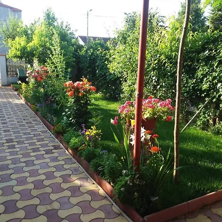 Casa Georgian Gasthof Costinești