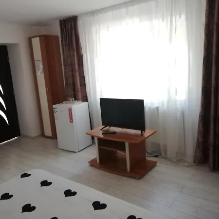 Casa Georgian 게스트하우스 코스티네스티