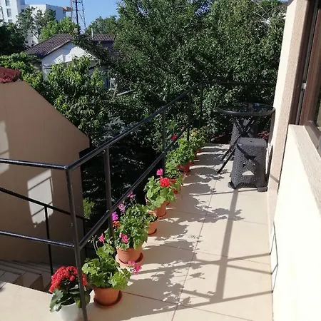 Casa Georgian * Costinesti