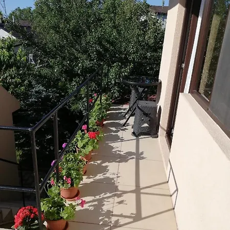 Casa Georgian Guest house