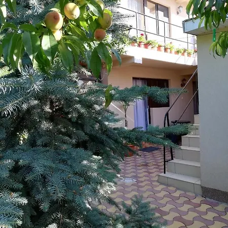Casa Georgian Guest house *