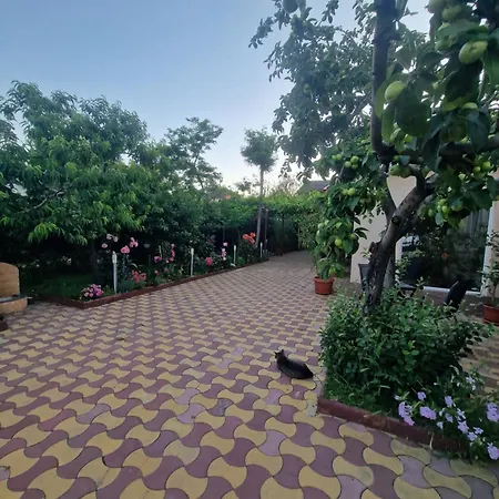 Casa Georgian Guest house Costinesti
