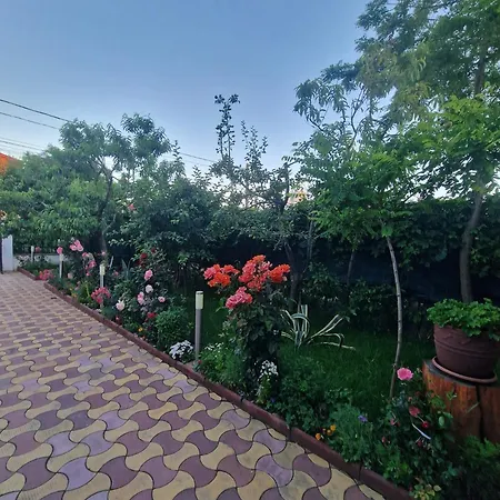Casa Georgian 4* Costineşti